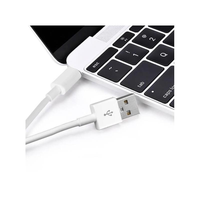 Câble de charge USB-C vers USB